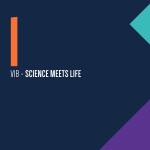 Case_VIB_Branding_1
